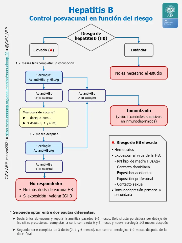 Vacuna contra la Hepatitis B: Indicaciones, Contraindicaciones y Eliminación - Qué hace la vacuna de la hepatitis B vacuna hepatitis b indicaciones y contraindicaciones - Qué hace la vacuna de la hepatitis B