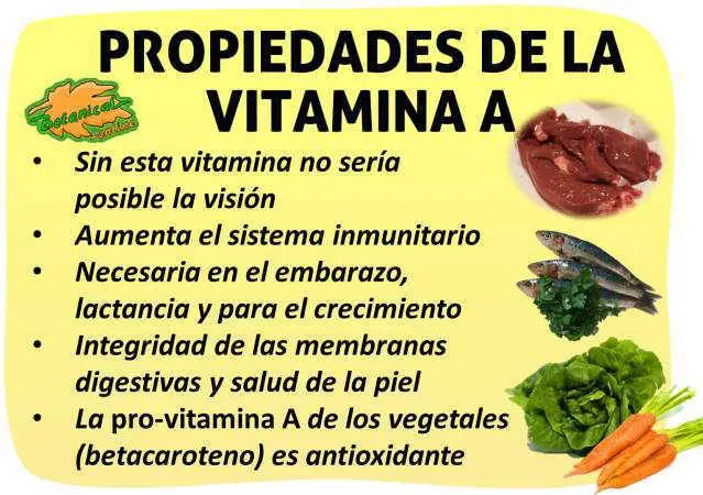 Vitamina A para la piel: Beneficios, usos y cómo obtenerla - Qué hace la vitamina A en el rostro vitamina a para que sirve en la piel - Qué hace la vitamina A en el rostro