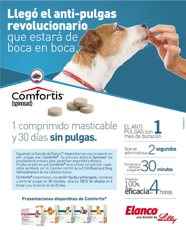 Spinosad para Perros: Guía Completa sobre su Uso y Seguridad - Qué hace Spinosad en los perros spinosad perros - Qué hace Spinosad en los perros