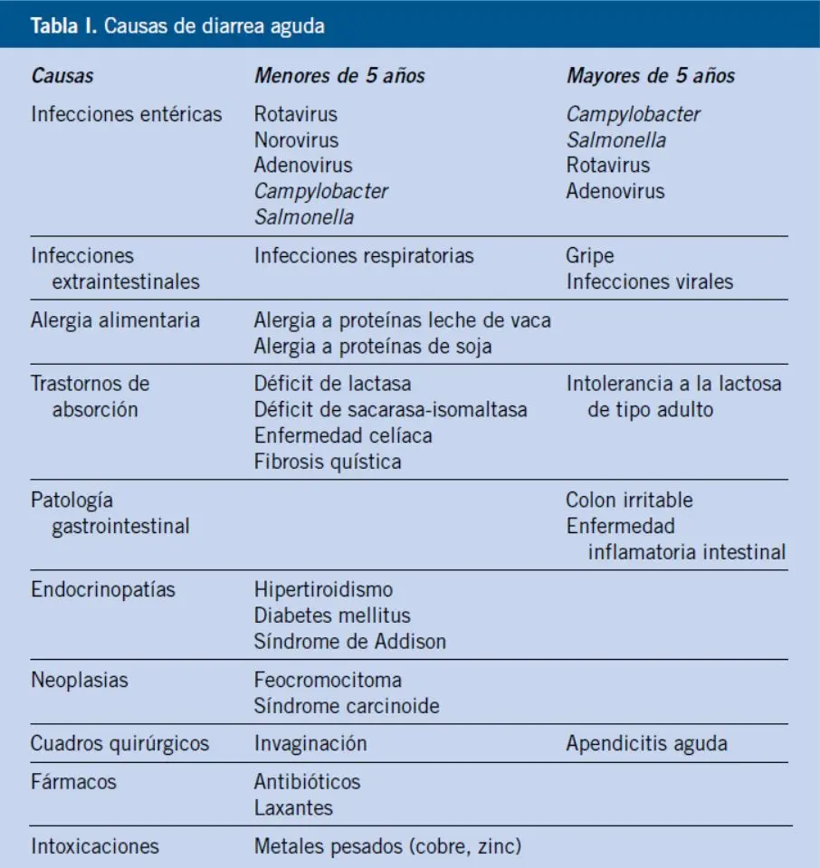 Gastroenteritis: Causas, Síntomas y Cómo Aliviarla - Qué hacer en caso de gastroenteritis medicamentos para la gastroenteritis - Qué hacer en caso de gastroenteritis