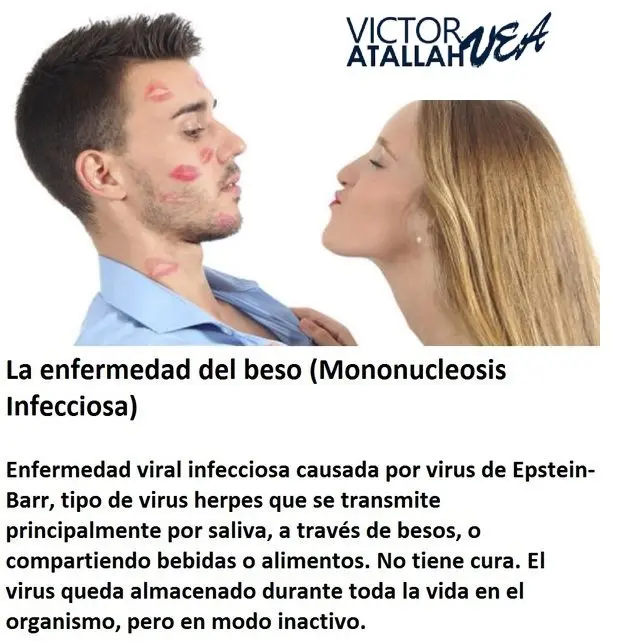 Mononucleosis: Cómo se contagia, síntomas y duración del contagio - Qué hacer si tengo mononucleosis como se contagia la mononucleosis - Qué hacer si tengo mononucleosis