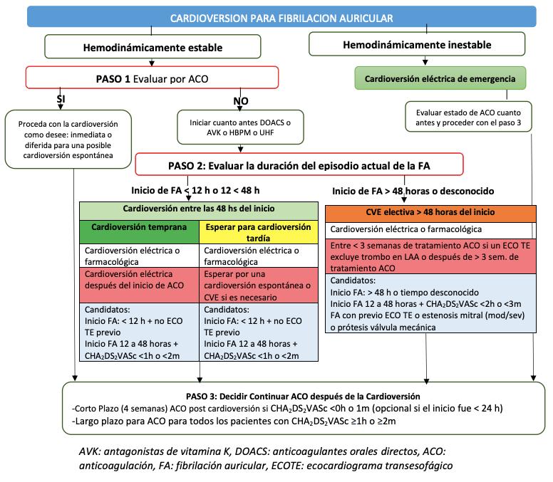 Fibrilación Auricular: Tratamiento y Manejo de una Arritmia Común - Qué medicamentos se toman para la fibrilación auricular fibrilacion auricular tratamiento - Qué medicamentos se toman para la fibrilación auricular