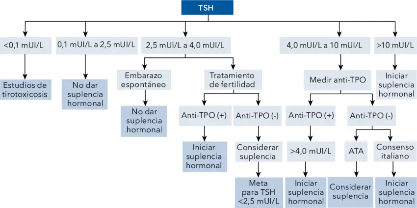 Anticuerpos Antiperoxidasa Tiroidea (Anti-TPO): Guía Completa - Qué miden los anticuerpos antiperoxidasa anticuerpos antiperoxidasa - Qué miden los anticuerpos antiperoxidasa