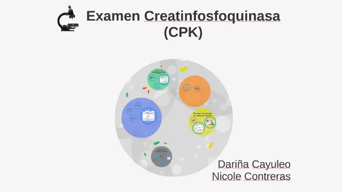 Creatinfosfoquinasa Alta: Causas, Niveles Alarmados y Riesgos - Qué nivel de CK es alarmante creatinfosfoquinasa - Qué nivel de CK es alarmante