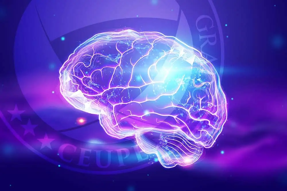 Neurociencia: Explorando el Complejo Mundo del Cerebro - Qué nos enseña la neurociencia que es la neurociencia - Qué nos enseña la neurociencia
