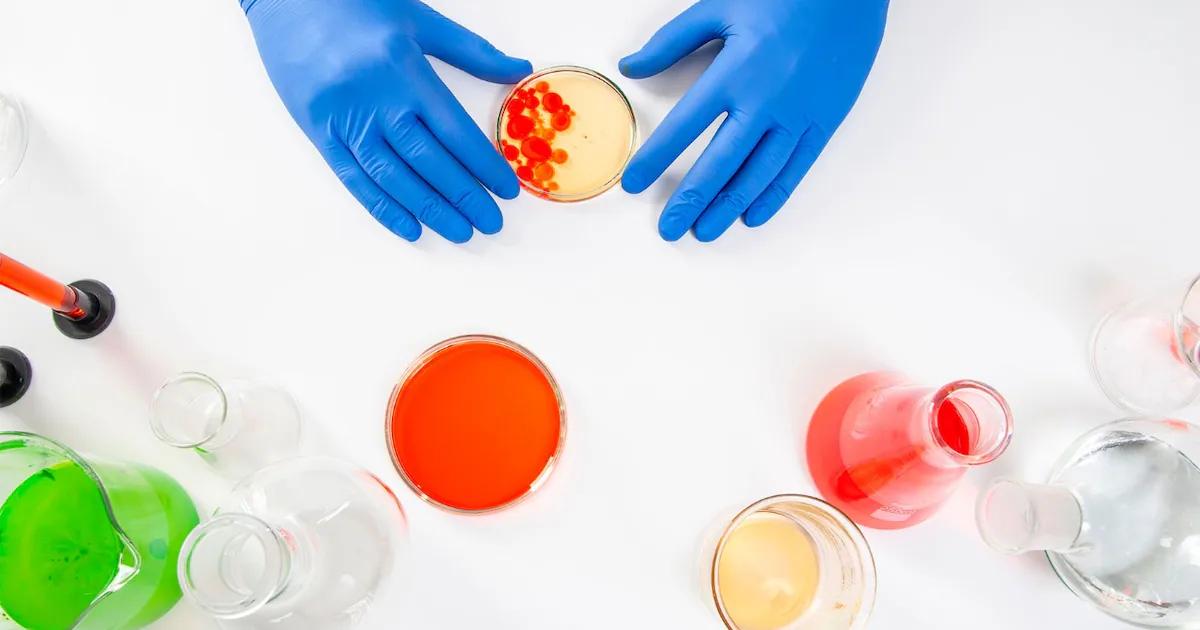 Dónde duele cuando hay infección urinaria: síntomas y causas - Qué parte de la espalda duele cuando hay infección urinaria donde duele cuando hay infección urinaria - Qué parte de la espalda duele cuando hay infección urinaria