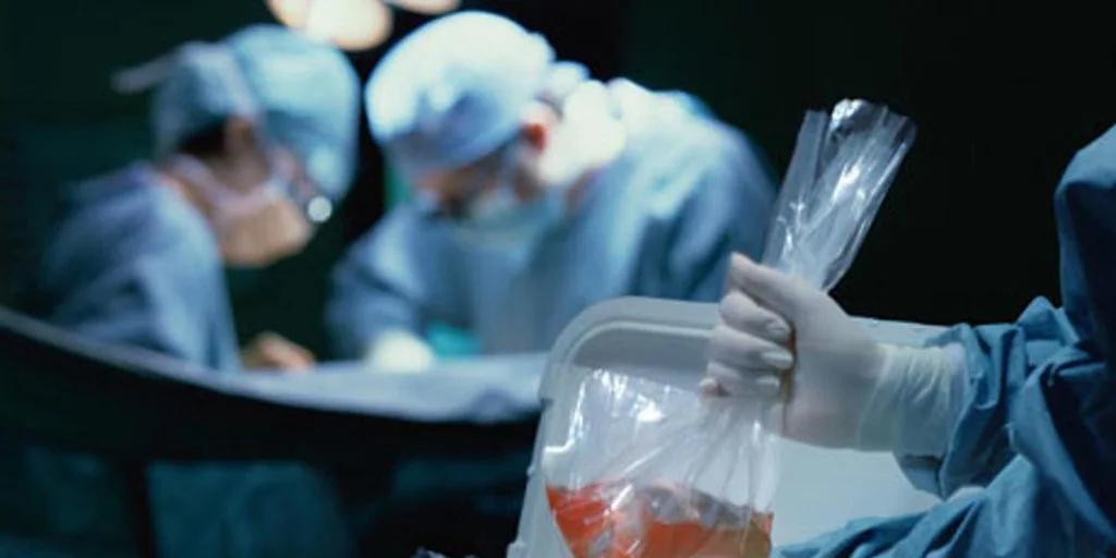 Muerte Cerebral: Una Realidad Difícil de Asimilar - Qué pasa cuando muere el cerebro y el corazón sigue latiendo una persona con muerte cerebral puede escuchar - Qué pasa cuando muere el cerebro y el corazón sigue latiendo