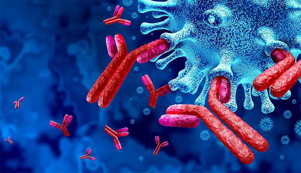 Inmunoglobulina E: qué es y por qué puede estar alta - Qué pasa si la inmunoglobulina está alta inmunoglobulina e - Qué pasa si la inmunoglobulina está alta