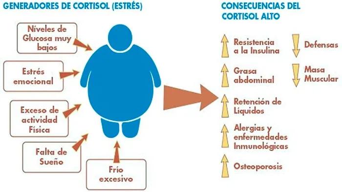 Cortisol Plasmático: Una Guía Completa para Entender Su Importancia - Qué pasa si los niveles de cortisol son altos cortisol plasmatico - Qué pasa si los niveles de cortisol son altos