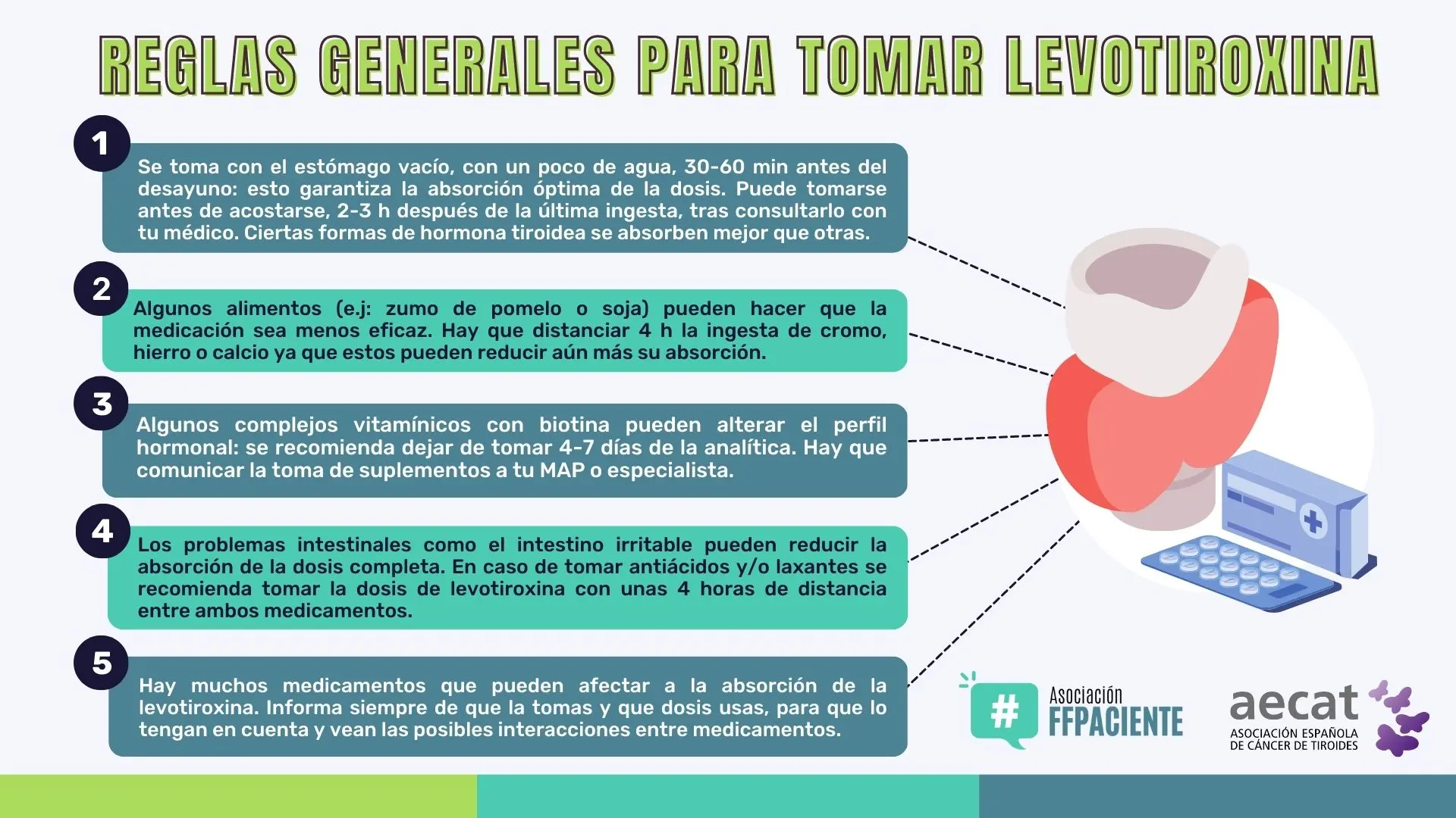 Síntomas de Dosis Baja de Levotiroxina: ¿Qué sucede si no tomo suficiente? - Qué pasa si no tomo suficiente levotiroxina sintomas de dosis baja de levotiroxina - Qué pasa si no tomo suficiente levotiroxina