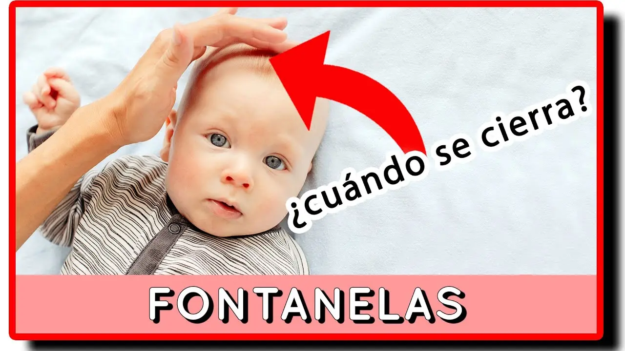Cuándo se Cierra la Mollera en los Bebés: Una Guía Completa - Qué pasa si se toca la fontanela cuando se cierra la mollera - Qué pasa si se toca la fontanela