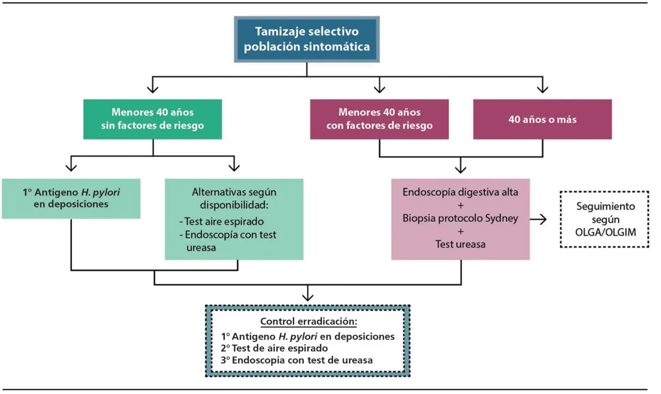 Prueba de Helicobacter pylori en sangre: Todo lo que necesitas saber - Qué pasa si tengo Helicobacter pylori en sangre prueba de helicobacter pylori en sangre - Qué pasa si tengo Helicobacter pylori en sangre