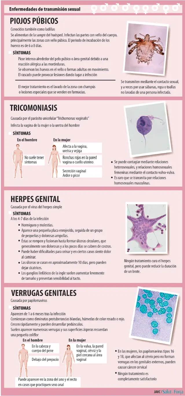Tricomoniasis en parejas estables: Lo que debes saber - Qué pasa si tengo tricomoniasis y tengo relaciones con mi pareja tricomoniasis pareja estable - Qué pasa si tengo tricomoniasis y tengo relaciones con mi pareja