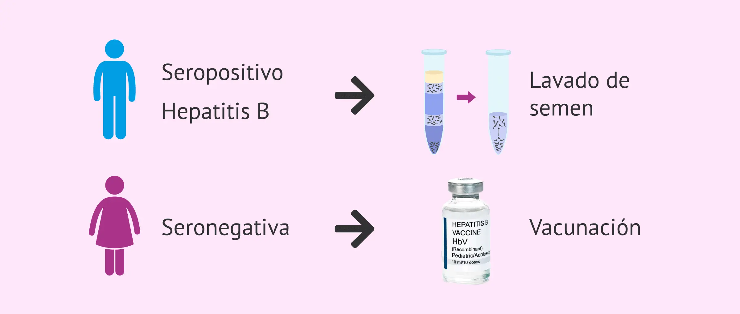 hepatitis b en el embarazo - Qué pasa si un bebé nace con hepatitis B