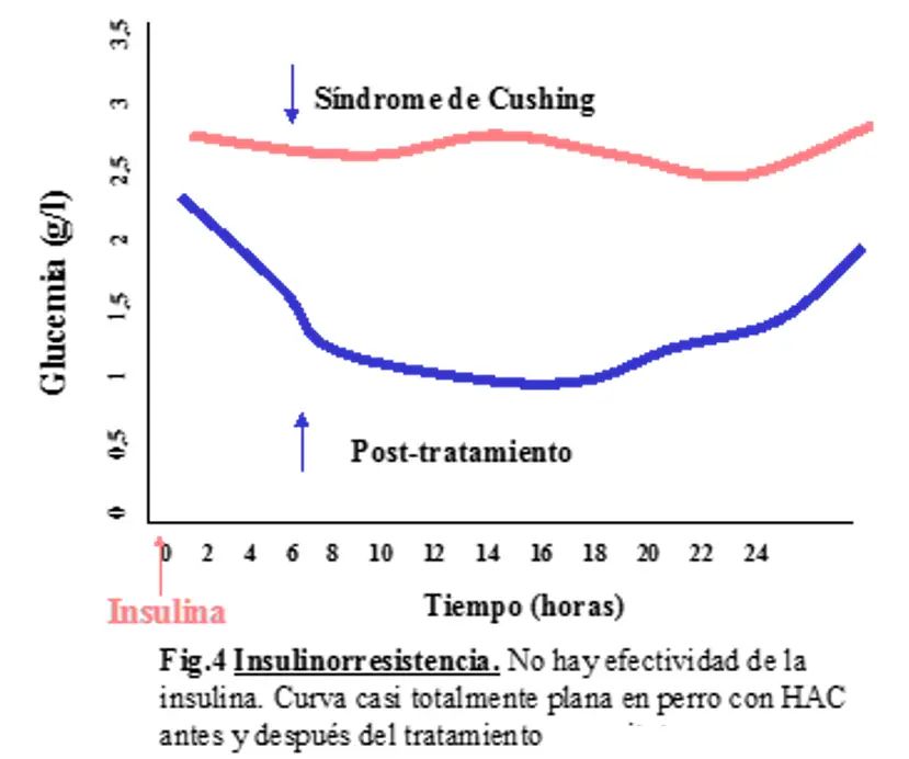 Curva de Glucosa: Guía Completa del Examen y Preparación - Qué pasa si vomito en la curva de glucosa curva de glucosa - Qué pasa si vomito en la curva de glucosa