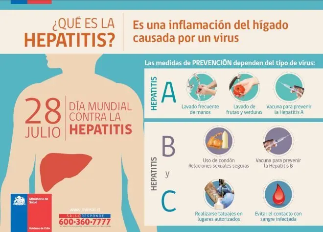 Cómo prevenir la hepatitis: Guía completa para proteger tu salud - Qué podemos hacer para prevenir la hepatitis como prevenir la hepatitis - Qué podemos hacer para prevenir la hepatitis