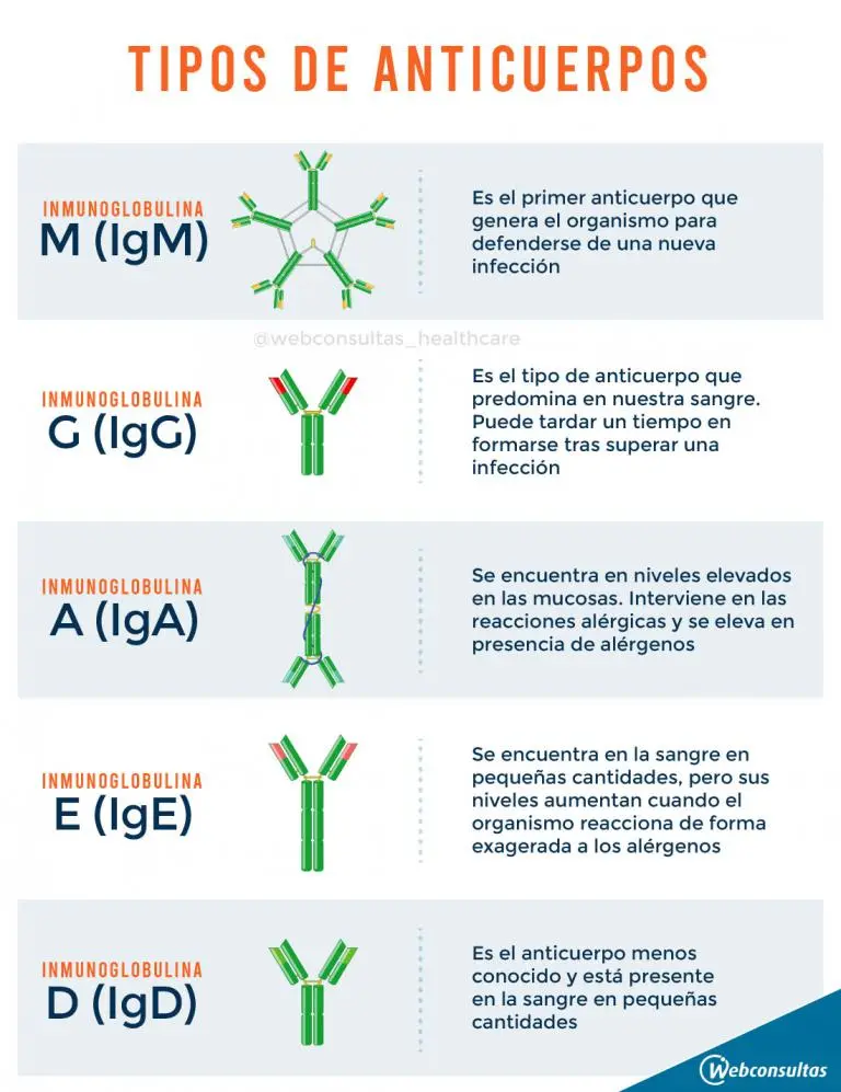 Inmunoglobulina A Baja: Causas, Síntomas y Cómo Elevarla - Qué provoca el déficit de IgA inmunoglobulina a baja - Qué provoca el déficit de IgA