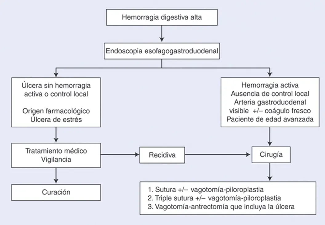 Úlcera duodenal: Cómo controlar el dolor y la inflamación con la alimentación - Qué puedo comer si tengo úlcera duodenal ulcera duodenal tratamiento - Qué puedo comer si tengo úlcera duodenal