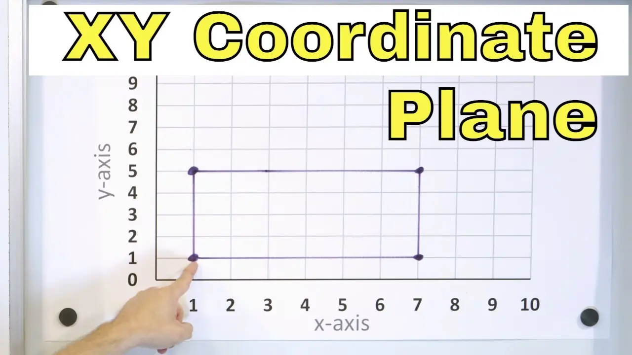 XY: Un Viaje al Mundo de los Cromosomas Sexuales - Qué quiere decir XY xy - Qué quiere decir XY