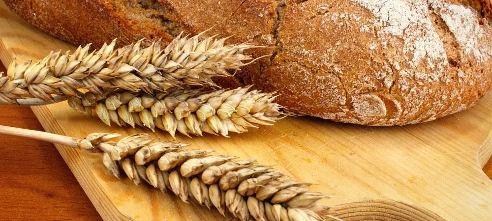 Prueba Casera para Saber si Eres Celíaco: Desmitificando la Intolerancia al Gluten - Qué sale alterado cuando eres celíaco prueba casera para saber si eres celíaco - Qué sale alterado cuando eres celíaco