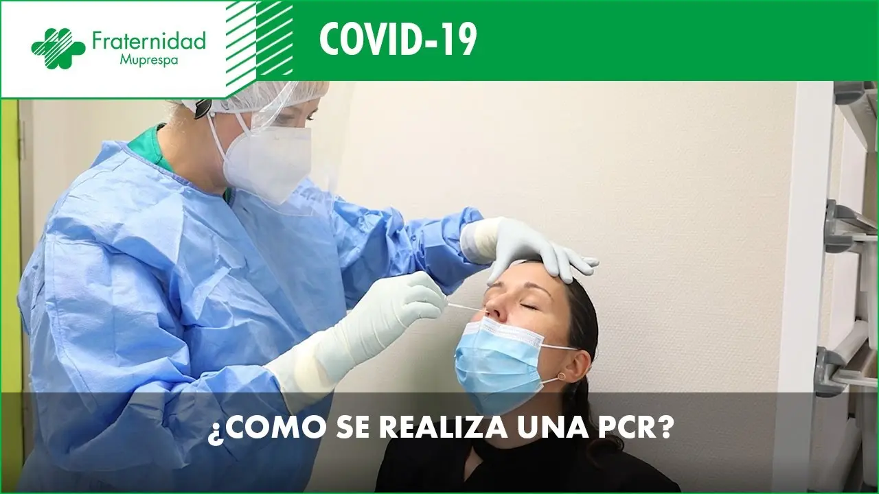 PCR: La prueba de amplificación de ácidos nucleicos - Qué se necesita para una PCR como se hace el pcr - Qué se necesita para una PCR