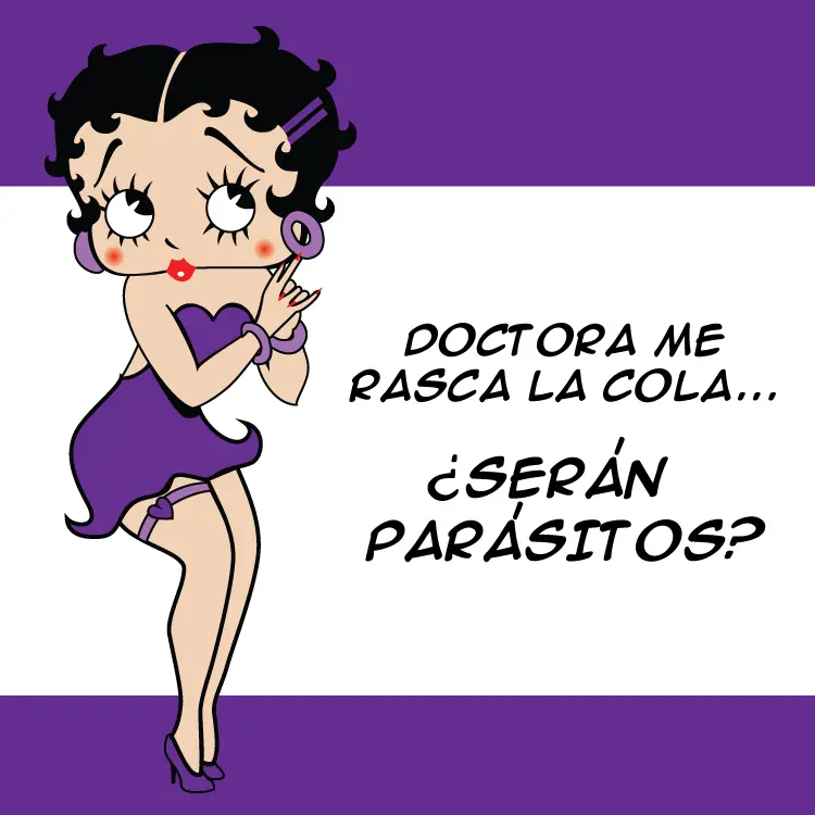 Picazón Anal: Causas, Síntomas y Tratamiento - Qué significa cuando te pica la cola me pica la cola - Qué significa cuando te pica la cola