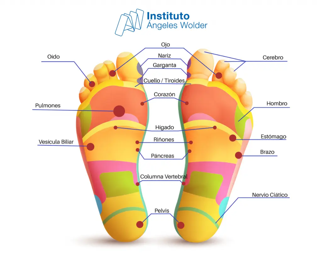 Dolor en el arco del pie izquierdo: Reflexología y posibles causas - Qué significa el pie izquierdo en reflexología dolor en el arco del pie izquierdo reflexologia - Qué significa el pie izquierdo en reflexología