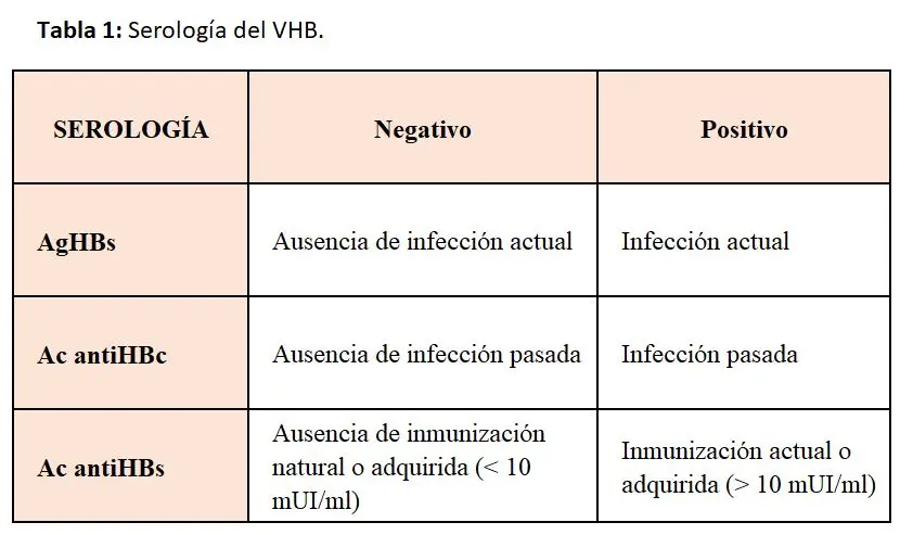 Hepatitis B: Anticuerpos Anti Superficie, Interpretación y Significado - Qué significa hepatitis B anticuerpos antígeno de superficie positivo hepatitis b anticuerpos anti superficie - Qué significa hepatitis B anticuerpos antígeno de superficie positivo