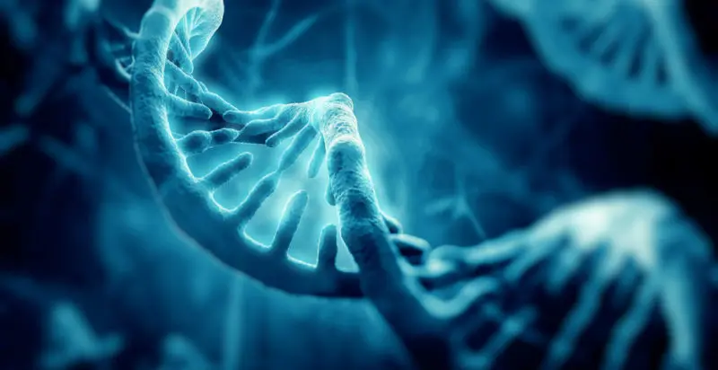 Genética Humana: Un Viaje al Interior de la Herencia - Qué significa herencia genética humana que es la genetica humana - Qué significa herencia genética humana