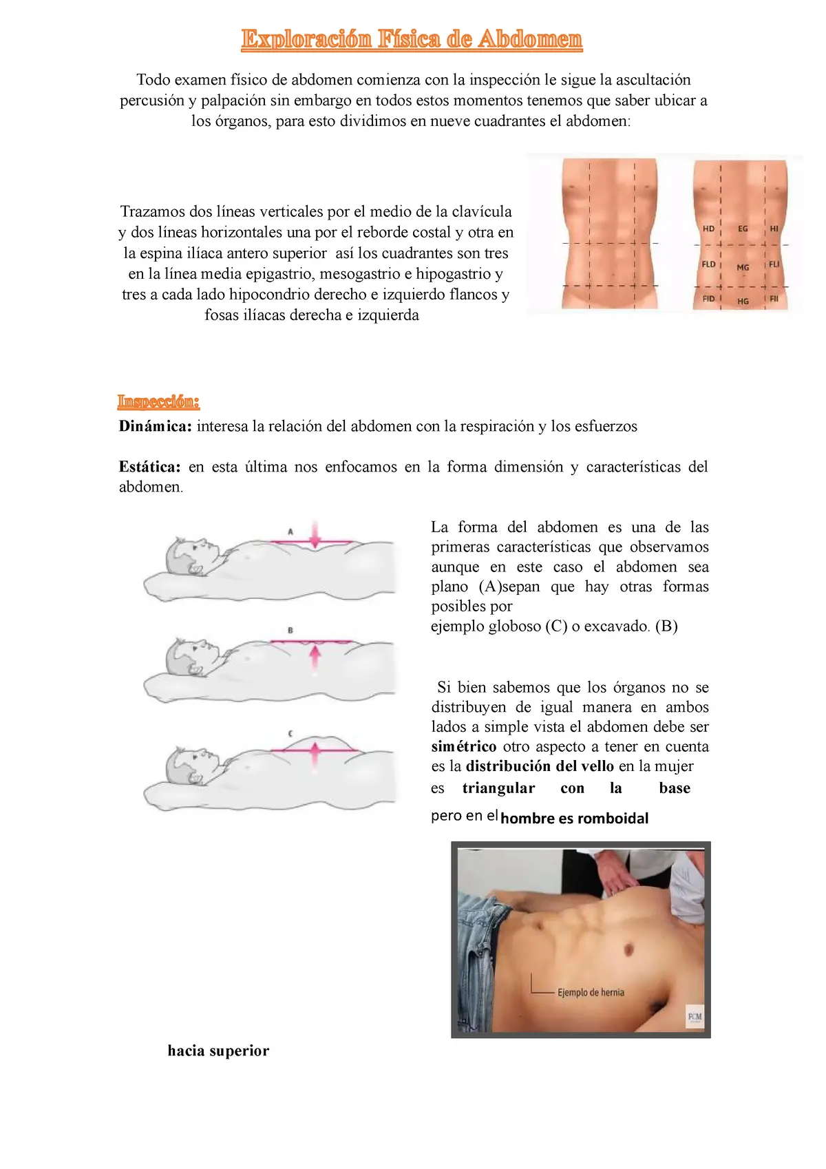 Abdomen Blando Depresible: ¿Qué Significa y Cuáles Son Sus Causas? - Qué significa tener el abdomen depresible abdomen blando depresible - Qué significa tener el abdomen depresible