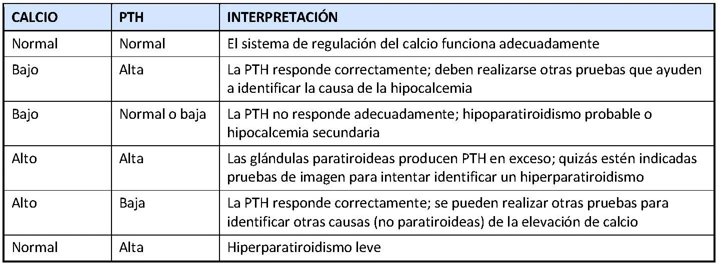 Parathormona Intacta: Qué es, Causas de Niveles Altos y Cómo Bajarlos - Qué significa tener la parathormona intacta alta parathormona molecula intacta - Qué significa tener la parathormona intacta alta