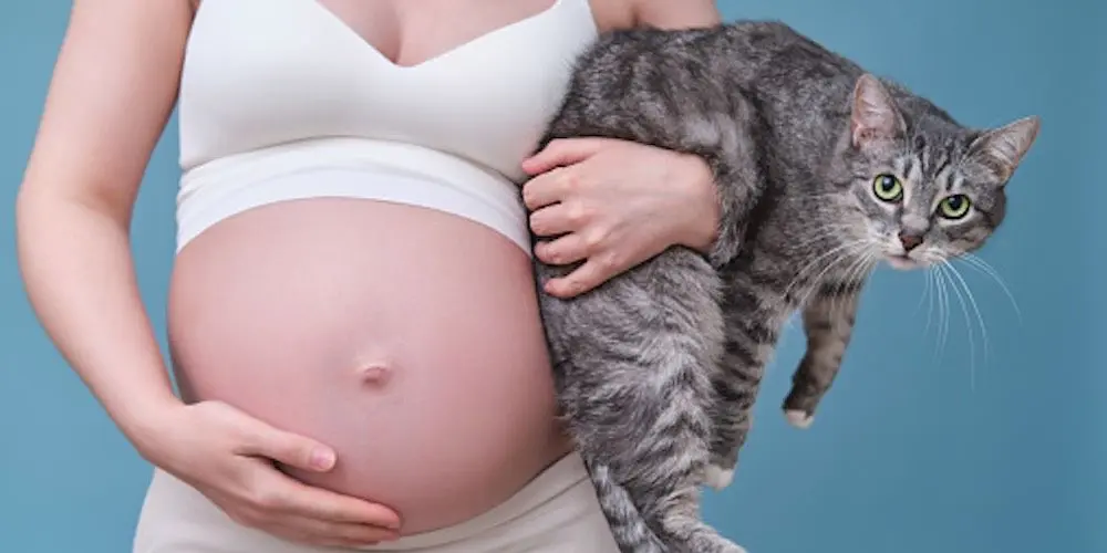 Toxoplasmosis en el Embarazo: Una Guía Completa para la Salud Materna y Fetal - Qué significa Toxoplasma IgG positivo en el embarazo toxoplasmosis en el embarazo - Qué significa Toxoplasma IgG positivo en el embarazo