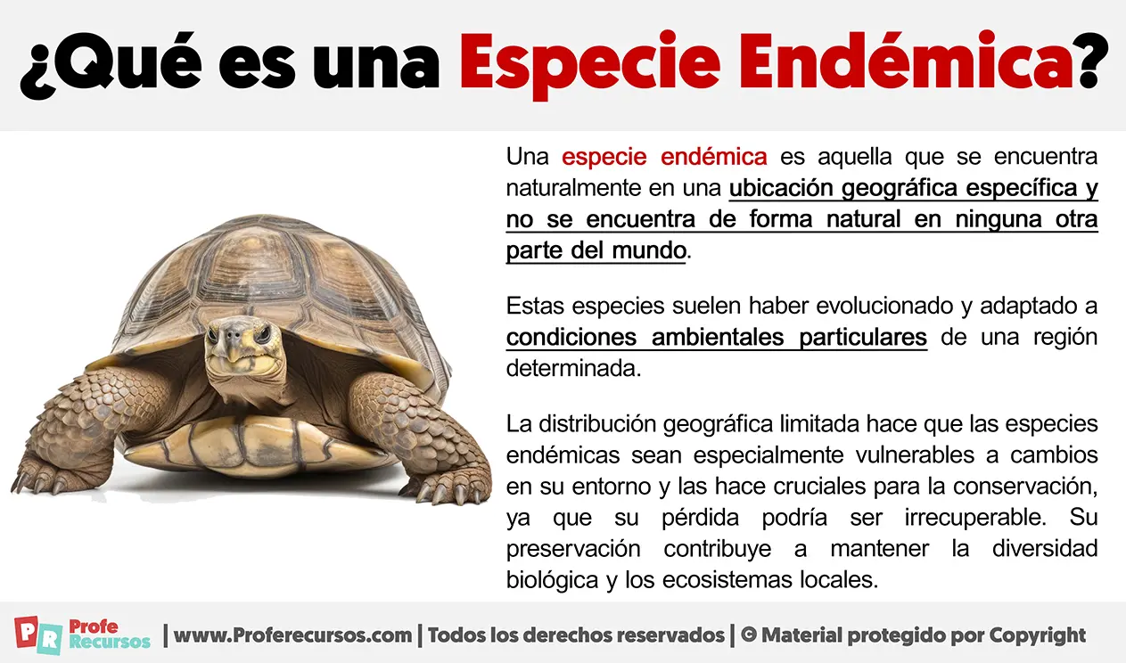 Endemismo: Descubriendo la Exclusividad de la Vida en la Tierra - Qué significado tiene la palabra endémico endemico definicion - Qué significado tiene la palabra endémico