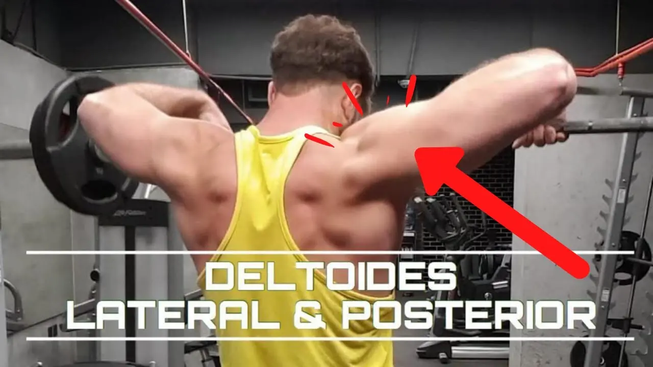 deltoides lateral - Qué son los deltoides y cuál es su función