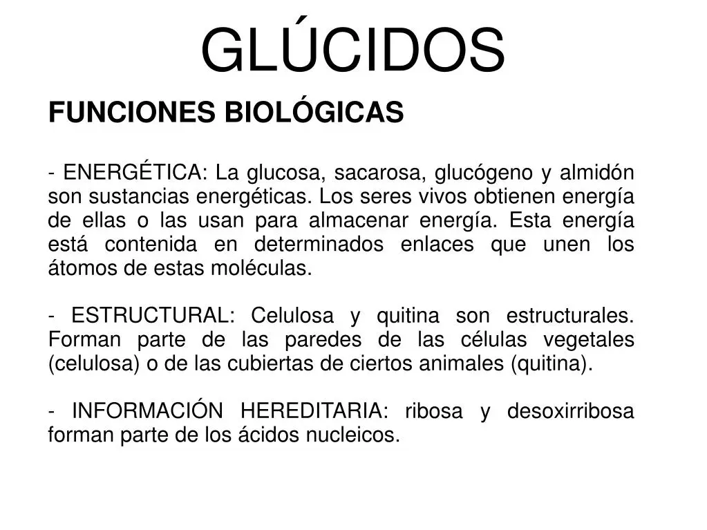 Funciones de los Glúcidos en las Membranas Celulares - Qué son los glúcidos y sus tipos que funciones cumplen los glucidos - Qué son los glúcidos y sus tipos