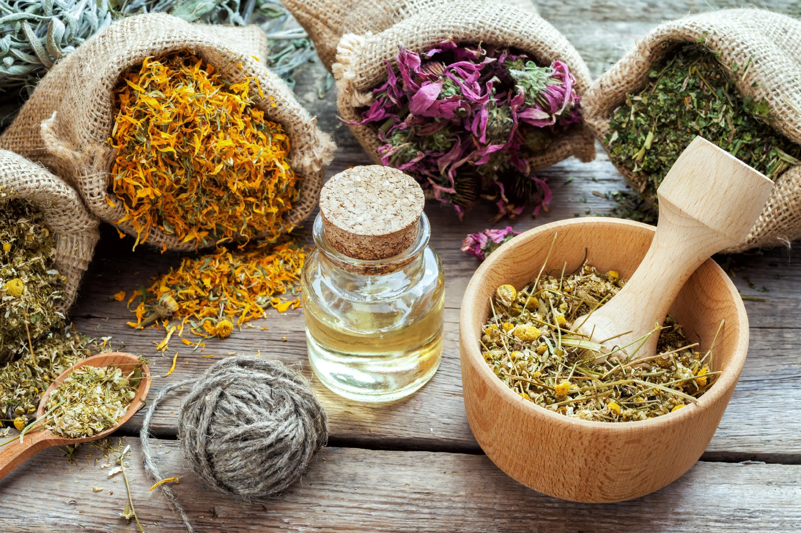 Herboristería: Descubre el Mundo de las Plantas Medicinales - Qué son los productos de herboristería herboristeria - Qué son los productos de herboristería