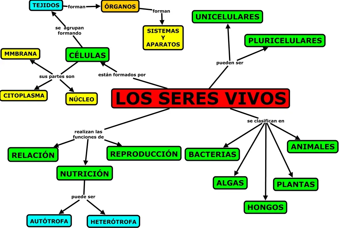 Cómo se Forman los Seres Vivos: Una Historia Estelar - Qué son los seres vivos y un ejemplo como estan formados los seres vivos - Qué son los seres vivos y un ejemplo