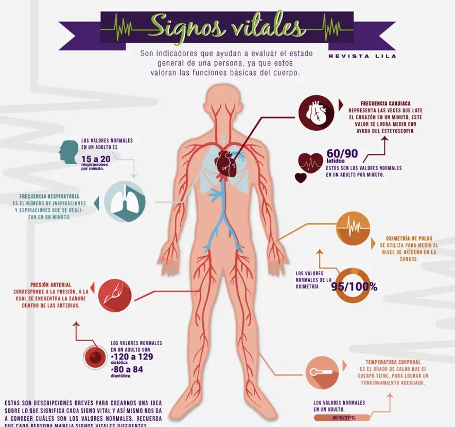 Signos Vitales: Una Guía Completa para Adultos Mayores - Qué son los signos vitales según la OMS signos vitales - Qué son los signos vitales según la OMS