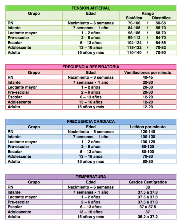 Signos Vitales: Una Guía Completa para Adultos Mayores - Qué son los signos vitales y cuántos son signos vitales - Qué son los signos vitales y cuántos son