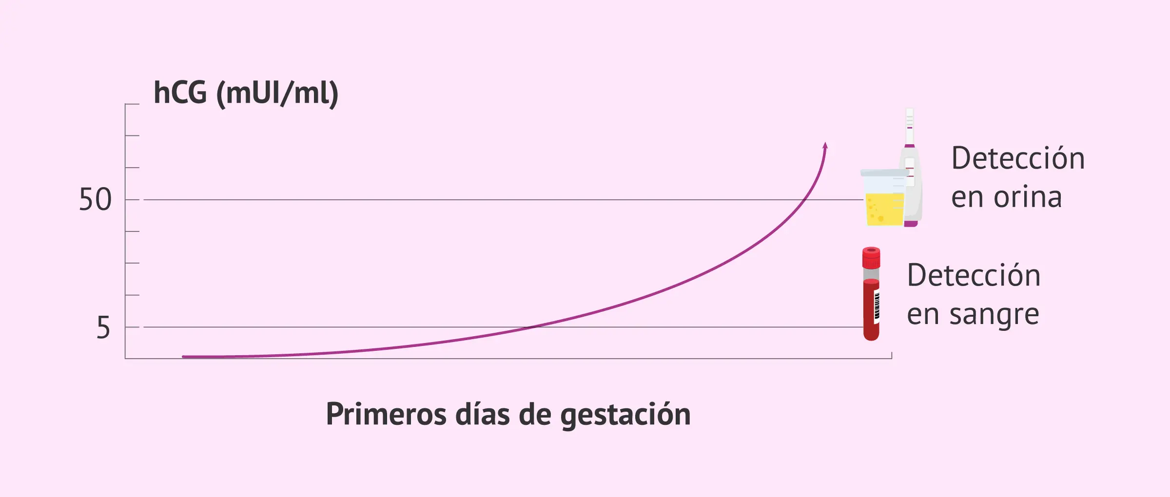 Prueba de Embarazo de Sangre Cualitativa: Precisión y Fiabilidad - Qué tan efectiva es la prueba de embarazo de sangre cualitativa subunidad beta cualitativa - Qué tan efectiva es la prueba de embarazo de sangre cualitativa