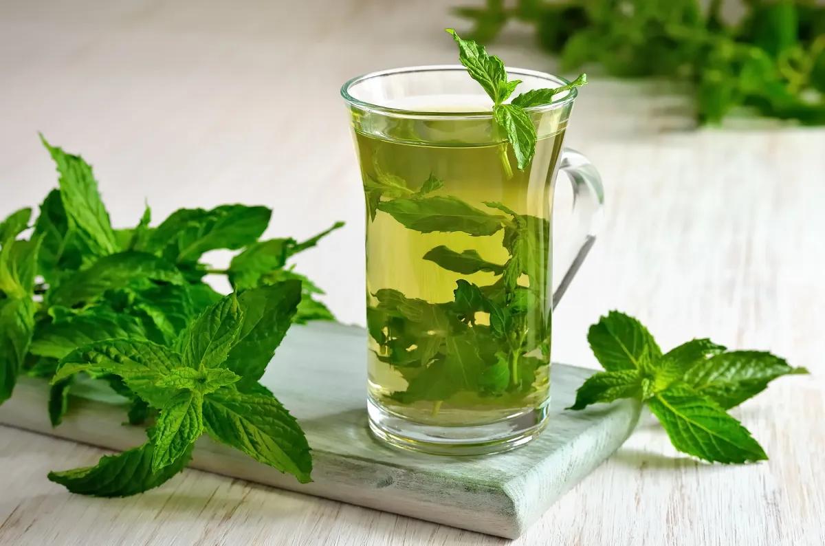 El mejor té para el dolor de panza: Alivio natural para tu estómago - Qué té es bueno para la diarrea y el dolor de estómago te para el dolor de panza - Qué té es bueno para la diarrea y el dolor de estómago
