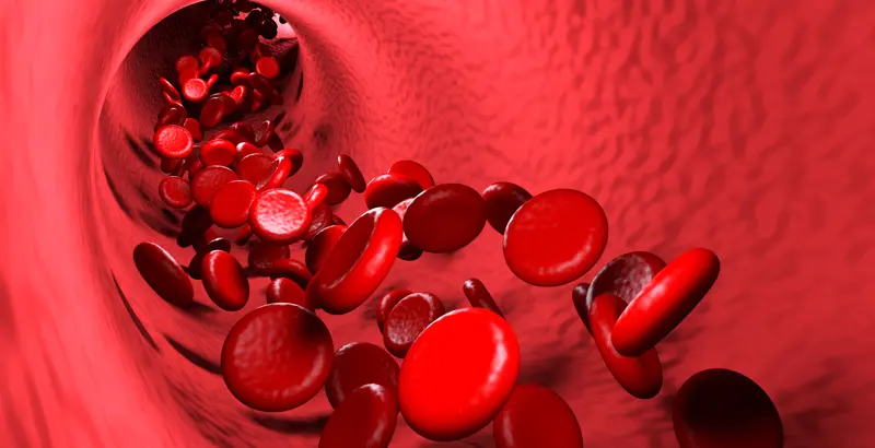 Anemia y Plaquetas Altas: Una Relación Compleja - Qué tiene que ver la anemia con las plaquetas plaquetas altas y anemia - Qué tiene que ver la anemia con las plaquetas