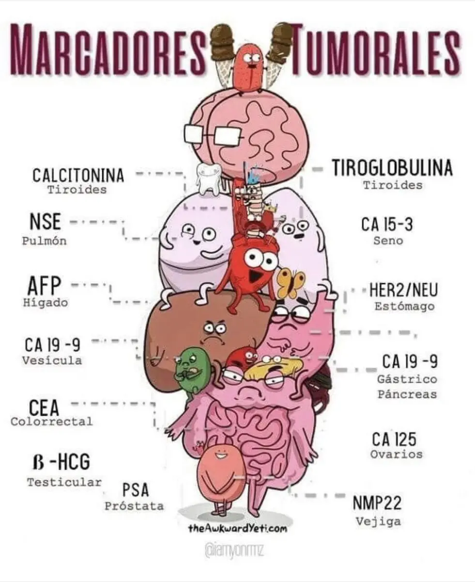 cea marcador tumoral - Qué tipo de cáncer detecta el CEA