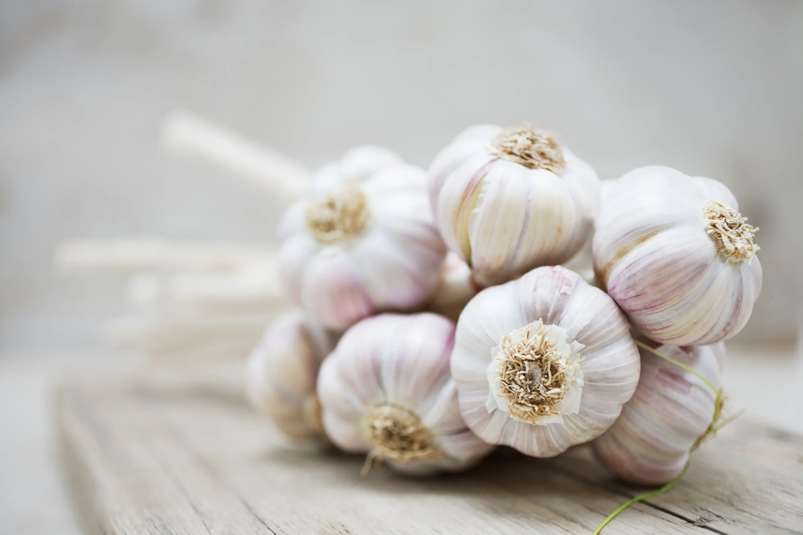 Ajo para los parásitos: Un remedio natural con siglos de tradición - Qué tipo de parásitos mata el ajo ajo para los parasitos - Qué tipo de parásitos mata el ajo