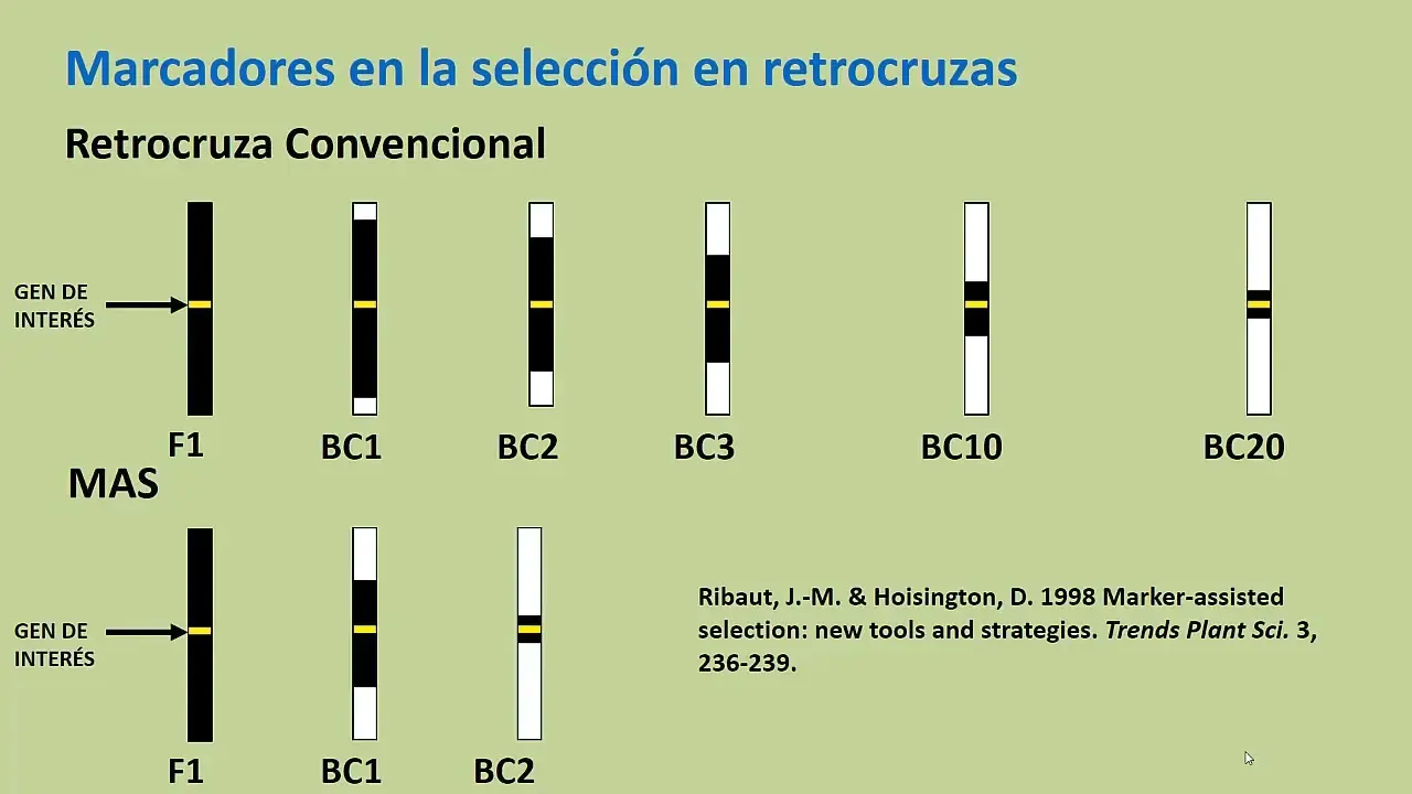 marcadores genéticos - Qué tipos de marcadores biológicos existen
