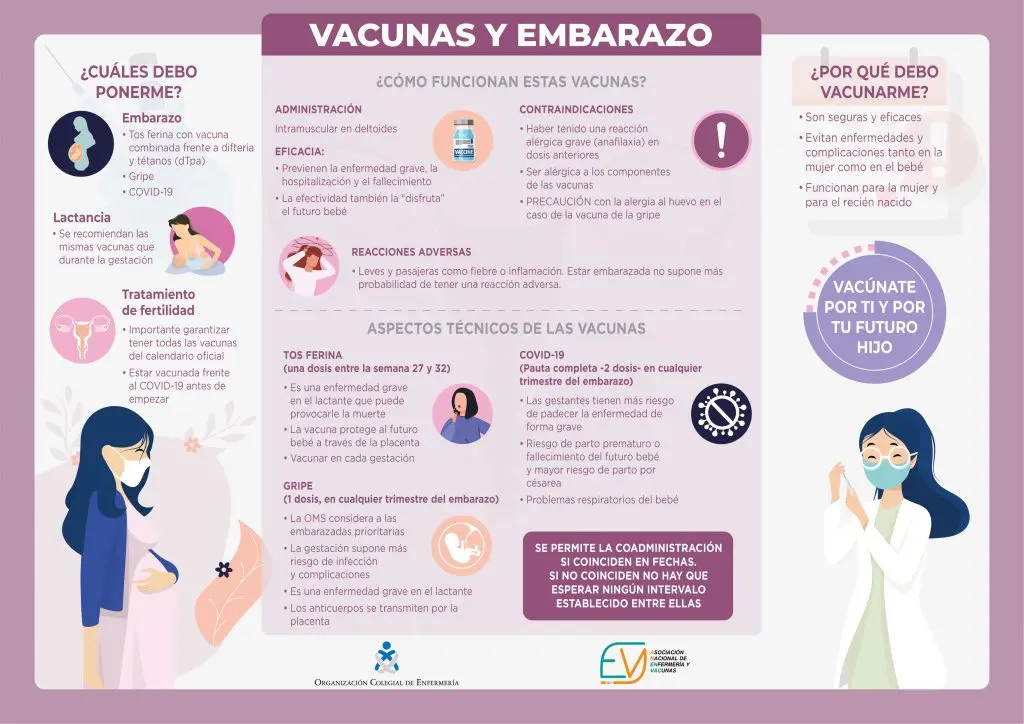 Vacuna DTPa en embarazadas: protección para la madre y el bebé - Qué vacunas son obligatorias en el embarazo vacuna dtpa en embarazadas - Qué vacunas son obligatorias en el embarazo