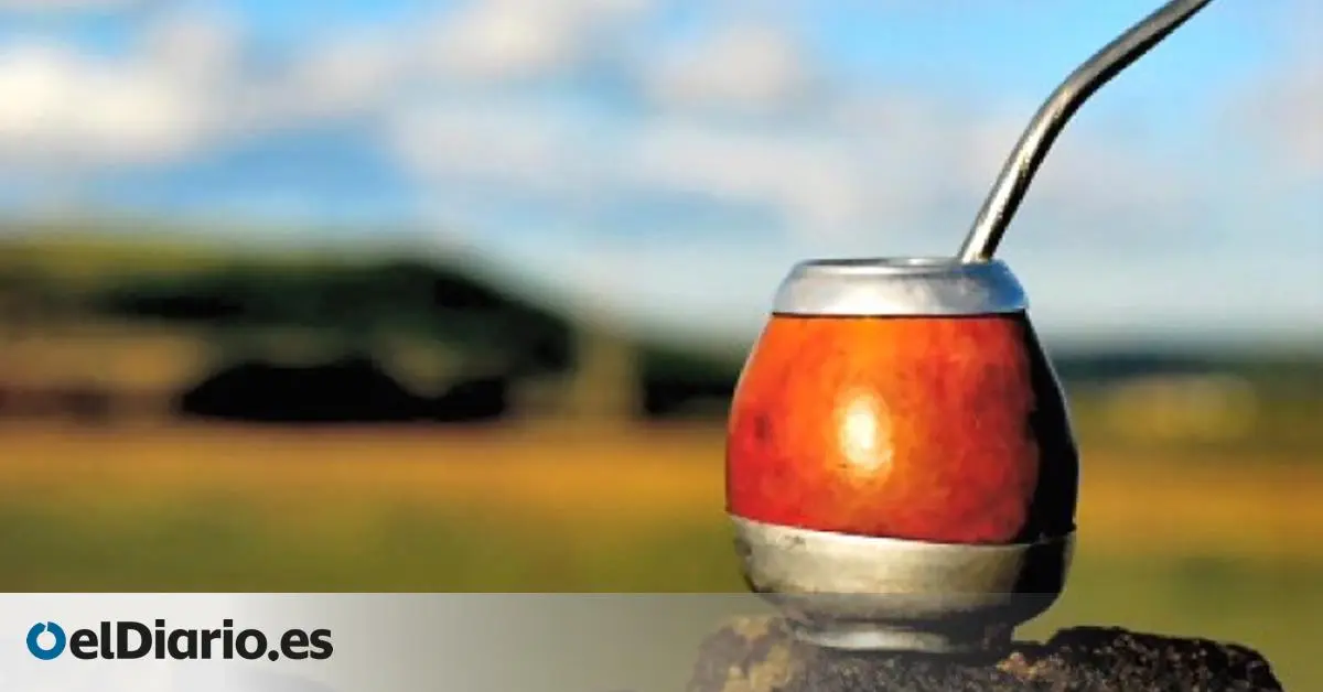 El Mate: Una Infusión Con Historia y Versatilidad - Qué yerba se usa para el mate poleo para el mate - Qué yerba se usa para el mate