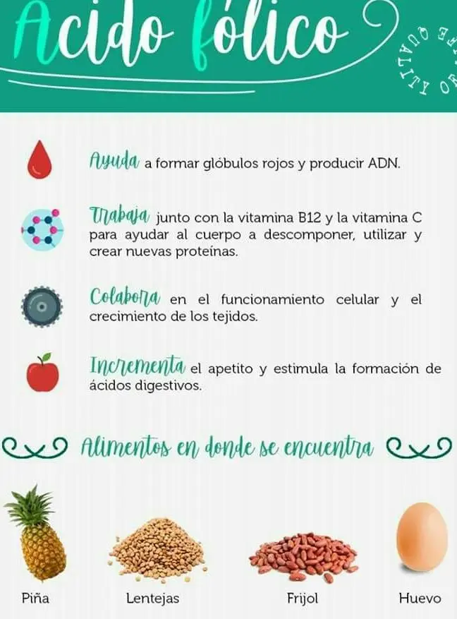 Ácido Fólico: Beneficios para tu Salud y Desarrollo Fetal - Quién debe tomar ácido fólico acido folico beneficios - Quién debe tomar ácido fólico
