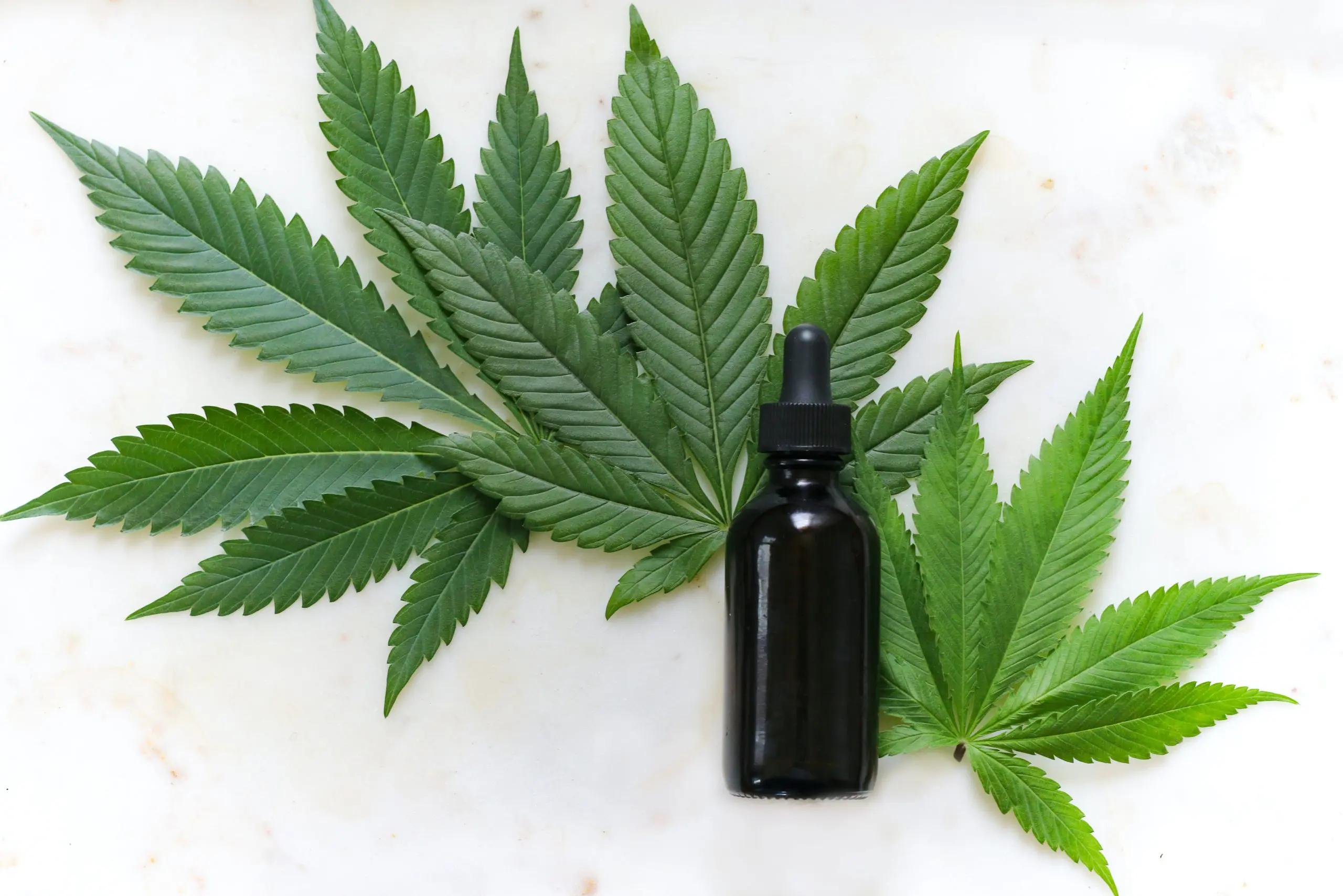 Cannabidiol (CBD): Un análisis completo de sus usos, efectos y seguridad - Quién debería evitar tomar CBD canabidiol - Quién debería evitar tomar CBD